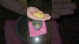 ऐसे पराठे जिससे पेट भरे लेकिन मन बोले और खा ले | 🤩| Gobhi Paratha & Gajar ka Raita