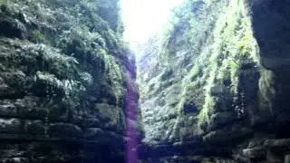 MOV00849