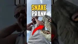 Funniest Snake Pranks 🤣😭