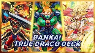 Bankai True Draco Deck - Yu-Gi-Oh! Link Evolution - October 2022 Banlist [BritishPiper & Requiem]