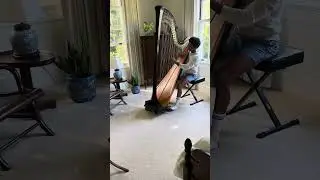 Pachelbel&rsquo;s Canon In D, Harp Practice
