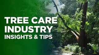 Tree Care Industry Insights and Tips from Ed's Tree Service