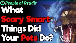 Scary Smart Pets | People Stories #242
