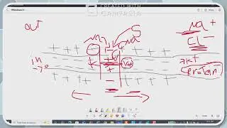 Part 2 graded & action potential by Dr.omnia Elmesiry