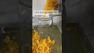 #freezedrying #farmfresheggs #harvestrightfreezedryer #harvestright #freezedryer #homesteading