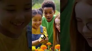 Meet Buzz: Uncovering the Magic of Bees in Pollination