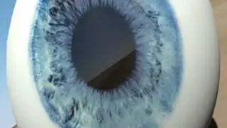 Das Auge und das Orbitoclast