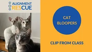 Alignment REScue presents: Cat Bloopers