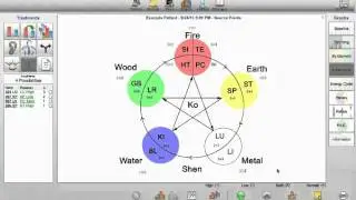 AcuGraph 4 Acupuncture Software Treatment Recommendation treatments