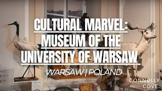 Cultural Marvel: Museum of the University of Warsaw | Warsaw | Poland | Things To Do in Poland