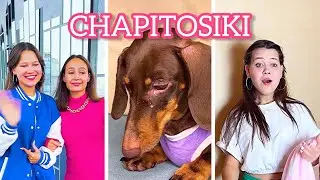ЧАПИТОСИКИ И ИХ ПРИКЛЮЧЕНИЯ😂🐶