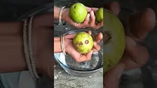 Guava chat ka ful blog#youtubeshorts #food #indianfoodmadeeasy #viral #recipe #Suhanaazanblog#shorts