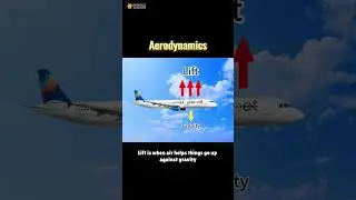 Why can planes defy gravity and soar high? 🛫✨ Let's explore the science of flight! #airplane #rocket