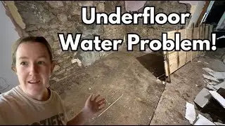 Water problems after ripping up the old floors for my Abandoned Irish Cottage Restoration - Ep. 109