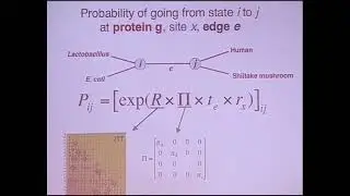 Dr. Andrew Roger | Markov models of protein evolution: Lets get real!