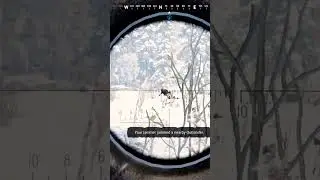 free air drop with the killing of a exit camper. #vigor #vigorgameplay #shorts #vigorxbox #vigorgame