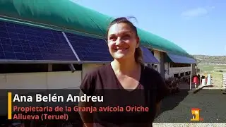 Ana Belén Andreu. Granja avícola. Allueva (Teruel)