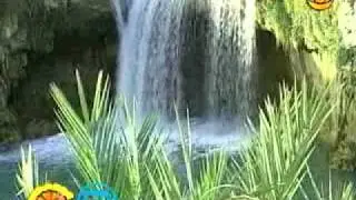 Baro(Baran) - Taha omrani
