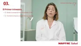MAPFRE Salud: Trimestres del embarazo