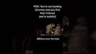 THE GNOMES!!!!!!!!!!!