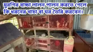 মুরগির বাচ্চা লালন পালন করতে গেলে কি ধরনের খাচা বা ঘার তৈরী করবেন।