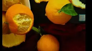 Orange eating ASMR  by i4u from Myanmar.#ASMR#foryoupage#Oragne