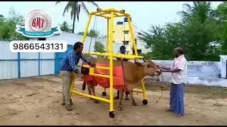 Cow lifting equipment for upto 1000kgs