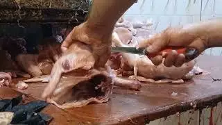 CHICKEN CUTTING SKILLS BD KAPTANBAZAR