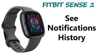How To See Fitbit Notifications History