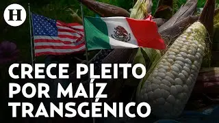 Gobierno de Estados Unidos solicita consultas formales por políticas de maíz transgénico en México