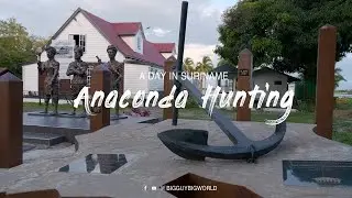Unforgettable Anaconda Adventure in Suriname! 🇸🇷🐍