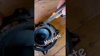 Removing a Magnet from a Speaker #diy #tutorial