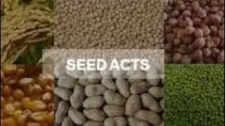 The seeds Act 1966