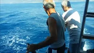 Dalyan Bacardi Beach Tour Mit Ali &Ouml;zalp (Full HD Video) (September 2017) dalyan tv
