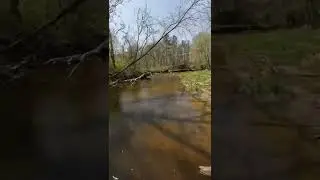 Beards Hills Michigan hiking trail
