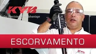 Escorvamento do amortecedor | KYB do Brasil