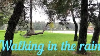 Walking on a rain part1|Parks Explorer