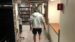 The Harvard Tasks - Video Game - ES139