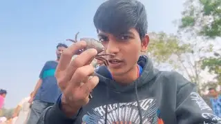 Yeh Purple colour ka Crab kaise hogya 😳