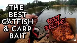 THE BEST BAIT FOR CATFISH AND CARP IN THE WORLD