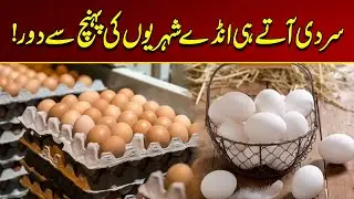 Karachi : Increase in Egg Prices | Breaking News | City 21