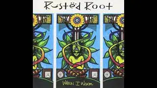 05. Cat Turned Blue - Rusted Root - 432Hz  HQ