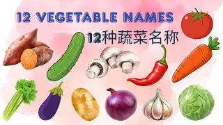 12 Vegetable Names in English Chinese 12种蔬菜名称 - 中英文 Learning Video for Kids Toddler