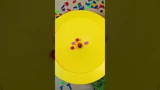Marble run ⭐ Slow Motion ASMR Marbles Video ⭐ Haba Slope Funnel #dominomarble