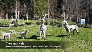 Center Parcs Allgäu Guide