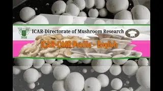 ICAR-DMR PROFILE : ENGLISH - #DMRSOLAN #ICAR #DMR #Solan