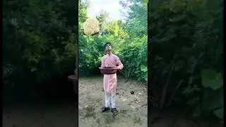 The tasty vegetables game  funny 🤣 VFX video ll #shorts #shortfeed #vfx
