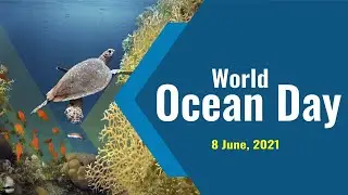 The World Ocean Day: Life and livelihoods