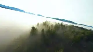 Rainy FPV - Rain, Fog, & Mist in the Pacific Northwest | 4k Cinematic | DJI FPV Drone
