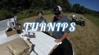 Planting a Food Plot in a Drought, Winter Peas, Forage Turnips, Fall Food Plot Planting